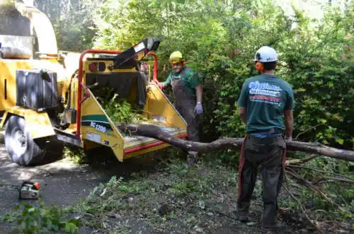 tree services Hawarden